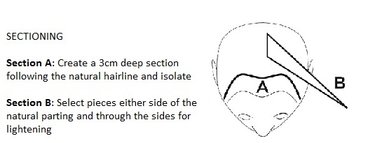 The Technique: Sectioning